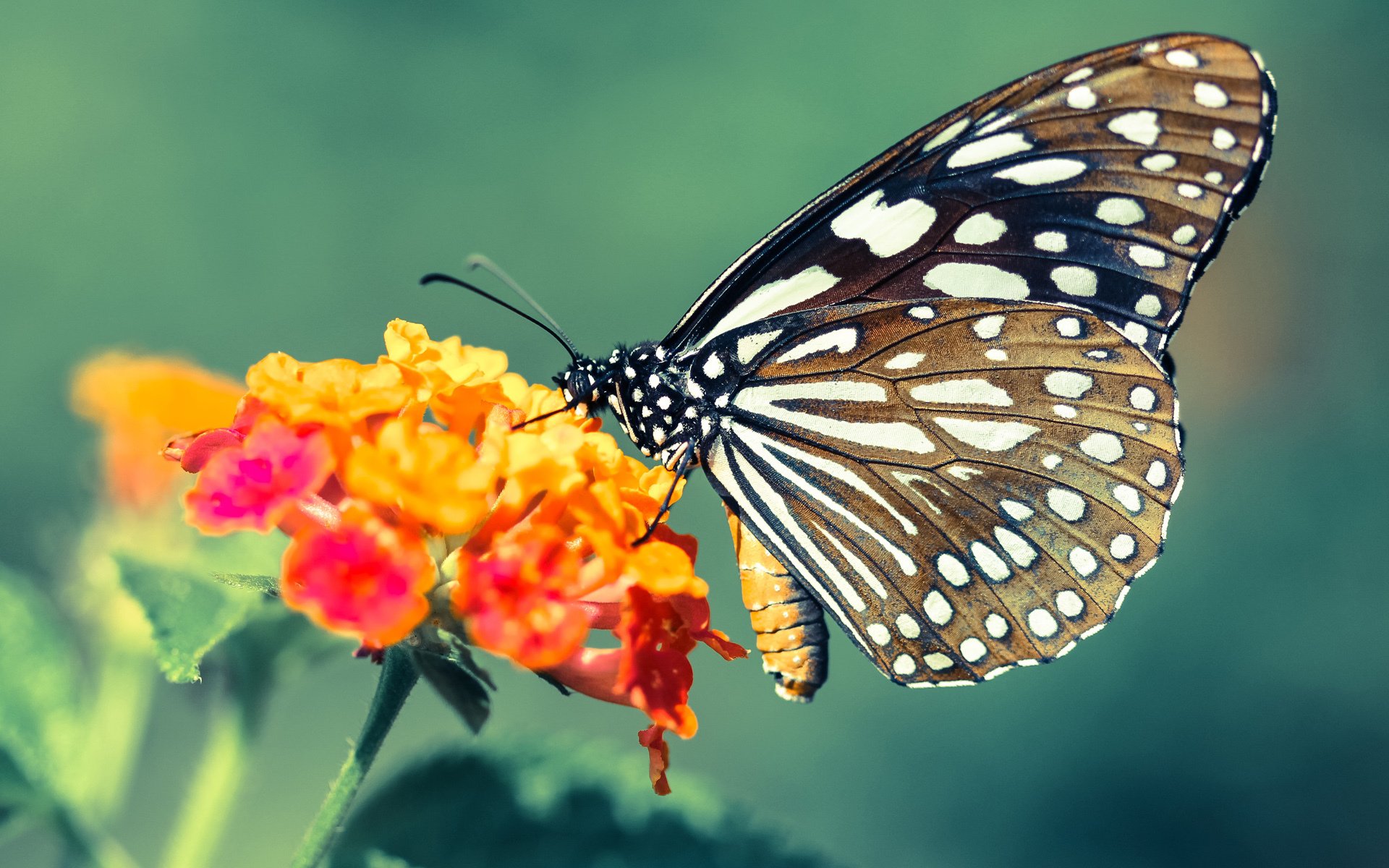 巴萨掌控比赛节奏，逐步蚕食对手防线，巴萨咋样