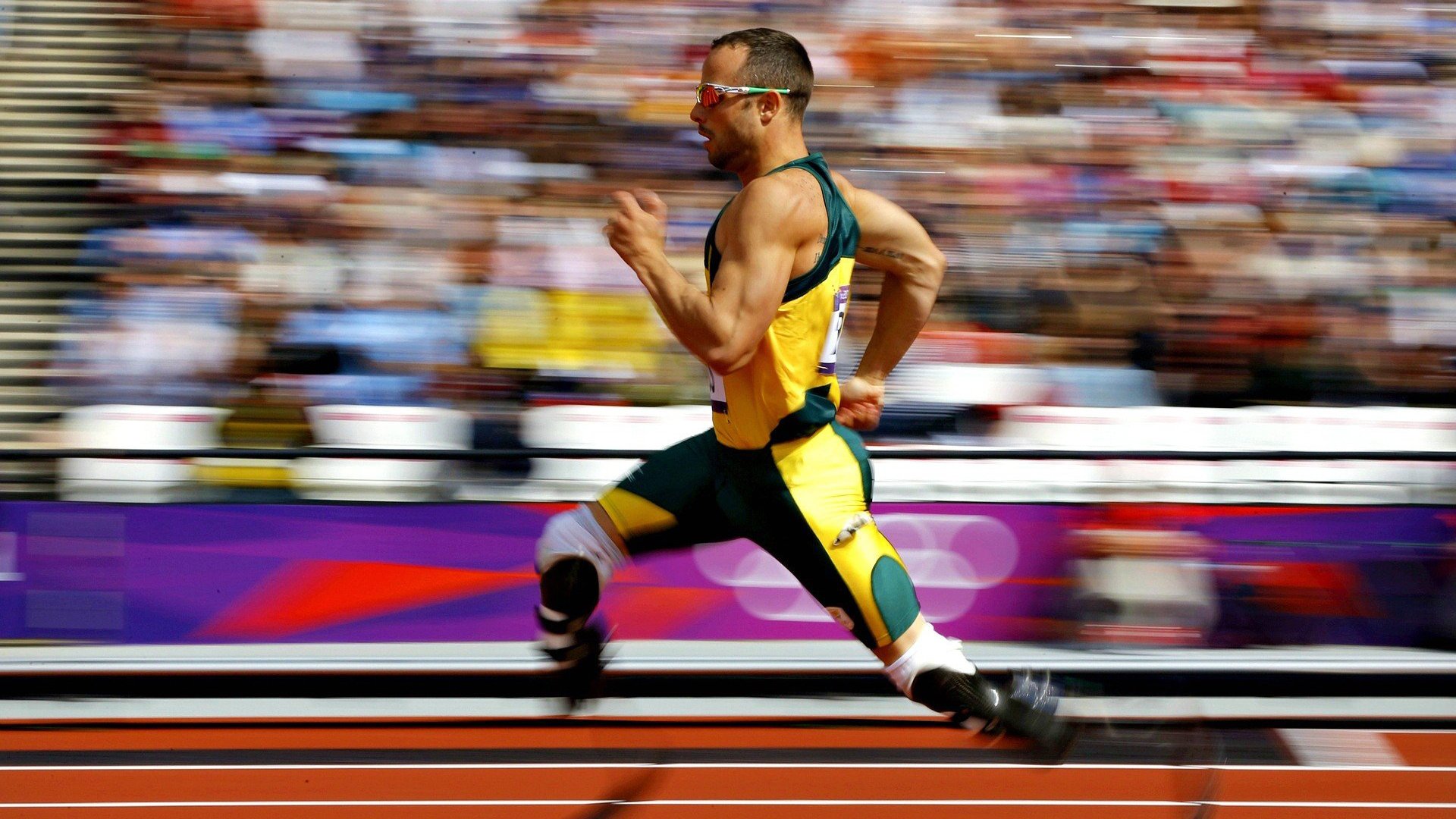 仰泳赛道瑞士选手节奏精准，仰泳纪录